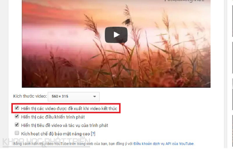cach loai bo video de xuat khong mong muon tren youtube
